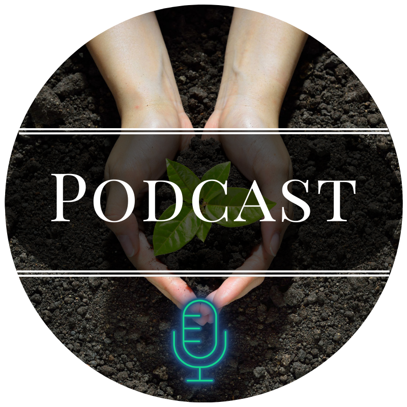Y on Earth: Episode 11